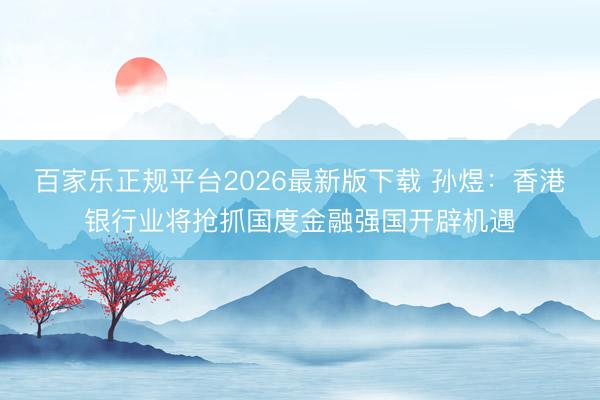 百家乐正规平台2026最新版下载 孙煜：香港银行业将抢抓国度金融强国开辟机遇